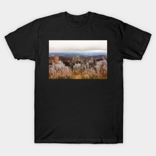 Frosted Autumn Smoky Mountains T-Shirt